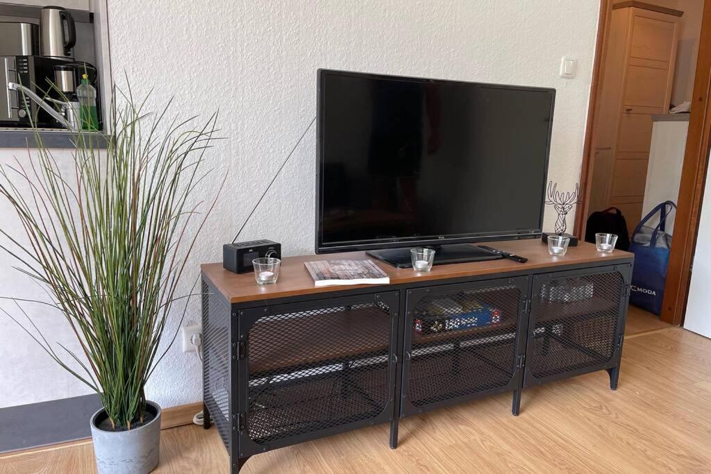 Apartmán Heimaturlaub Talsperre Altenau  Exteriér fotografie